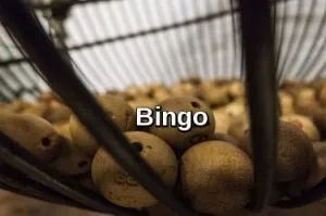 Bingo card and balls