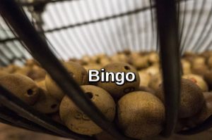 online casino bingo 